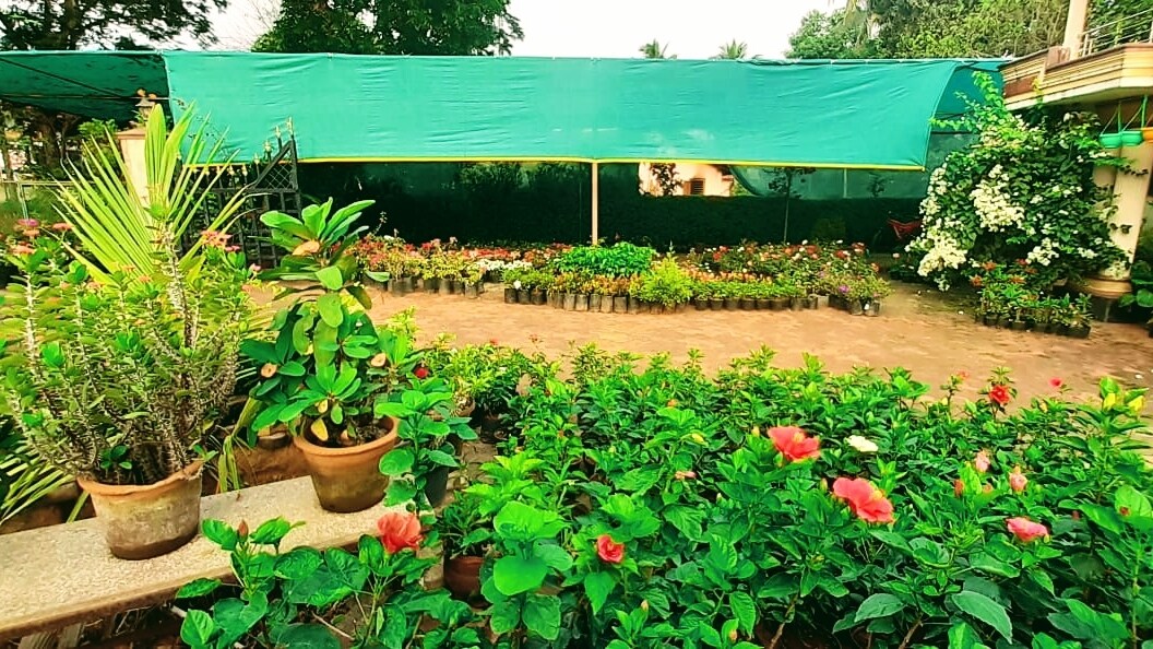 Catalogue Bhoomi Nursery and Accessories in Rayee , Mangalore Justdial