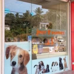 Pet Pantry in Bejai Mangalore Best Pet Shops For Dog near me in Mangalore Justdial