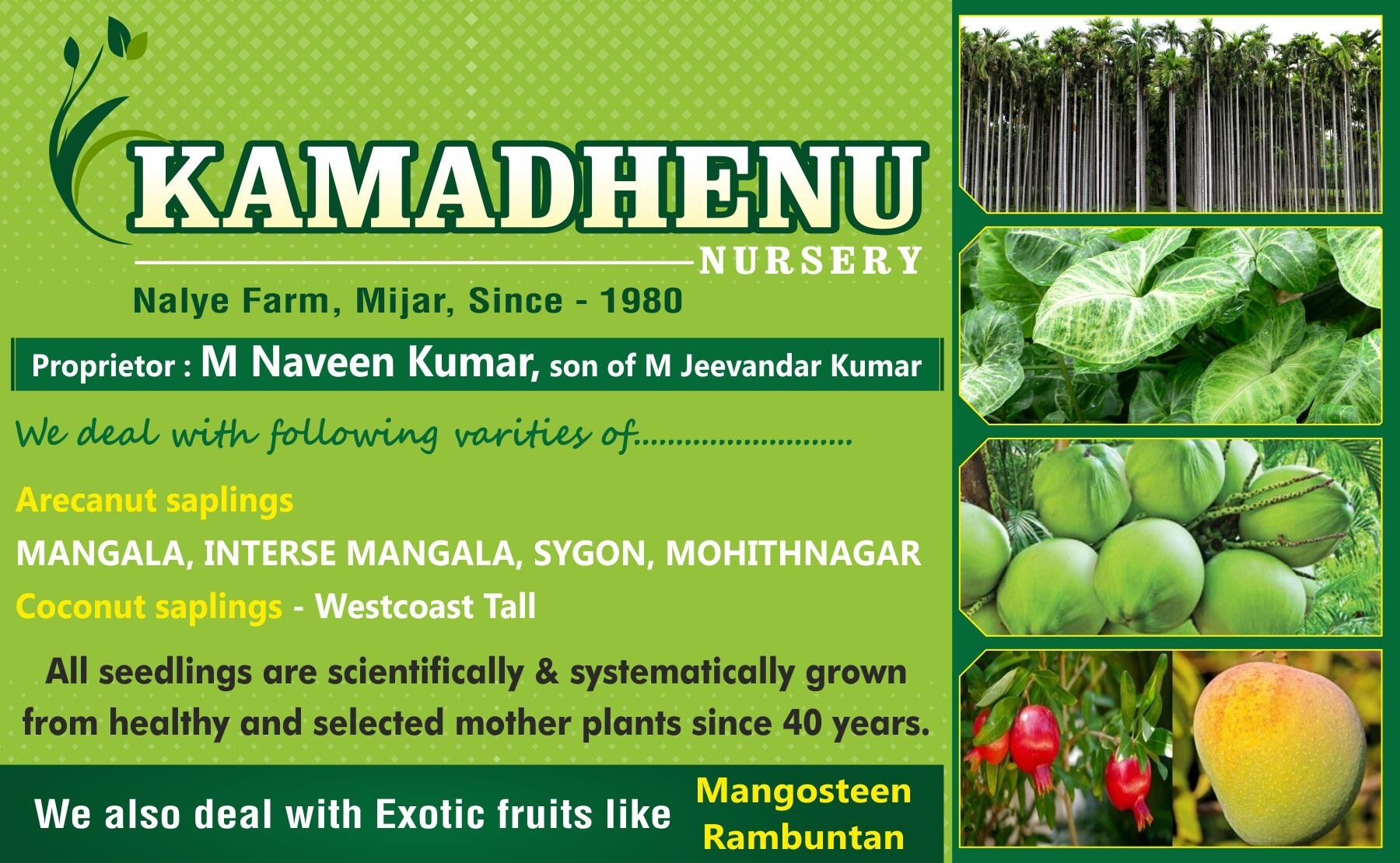 Catalogue Bhoomi Nursery and Accessories in Rayee , Mangalore Justdial