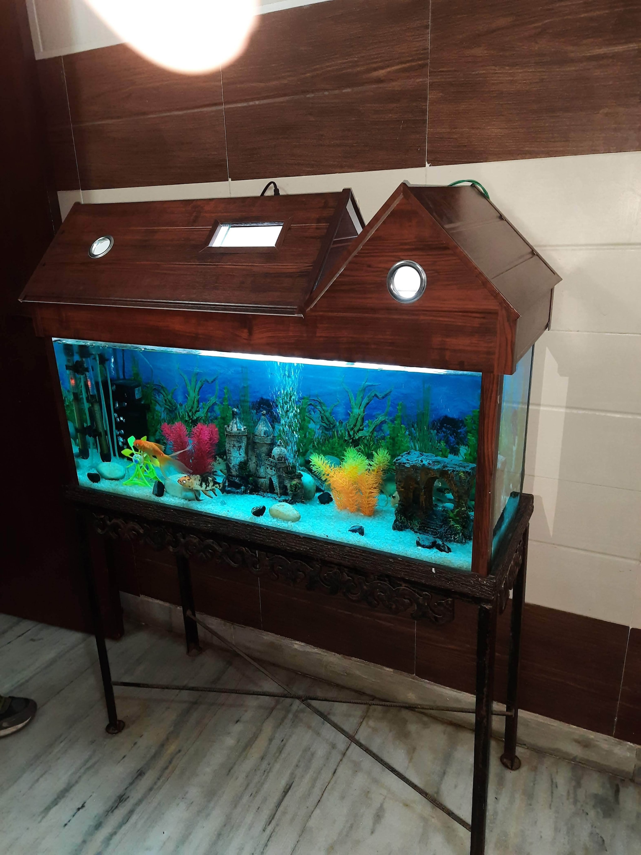 Fish Bowl in Lucknow Vibrant Aquariums Stunning Glass Designs