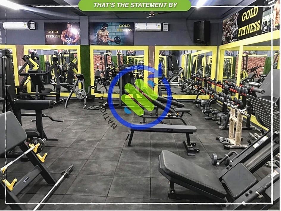 Seated Rowing Machine Row Exercise Machine Price Starting From