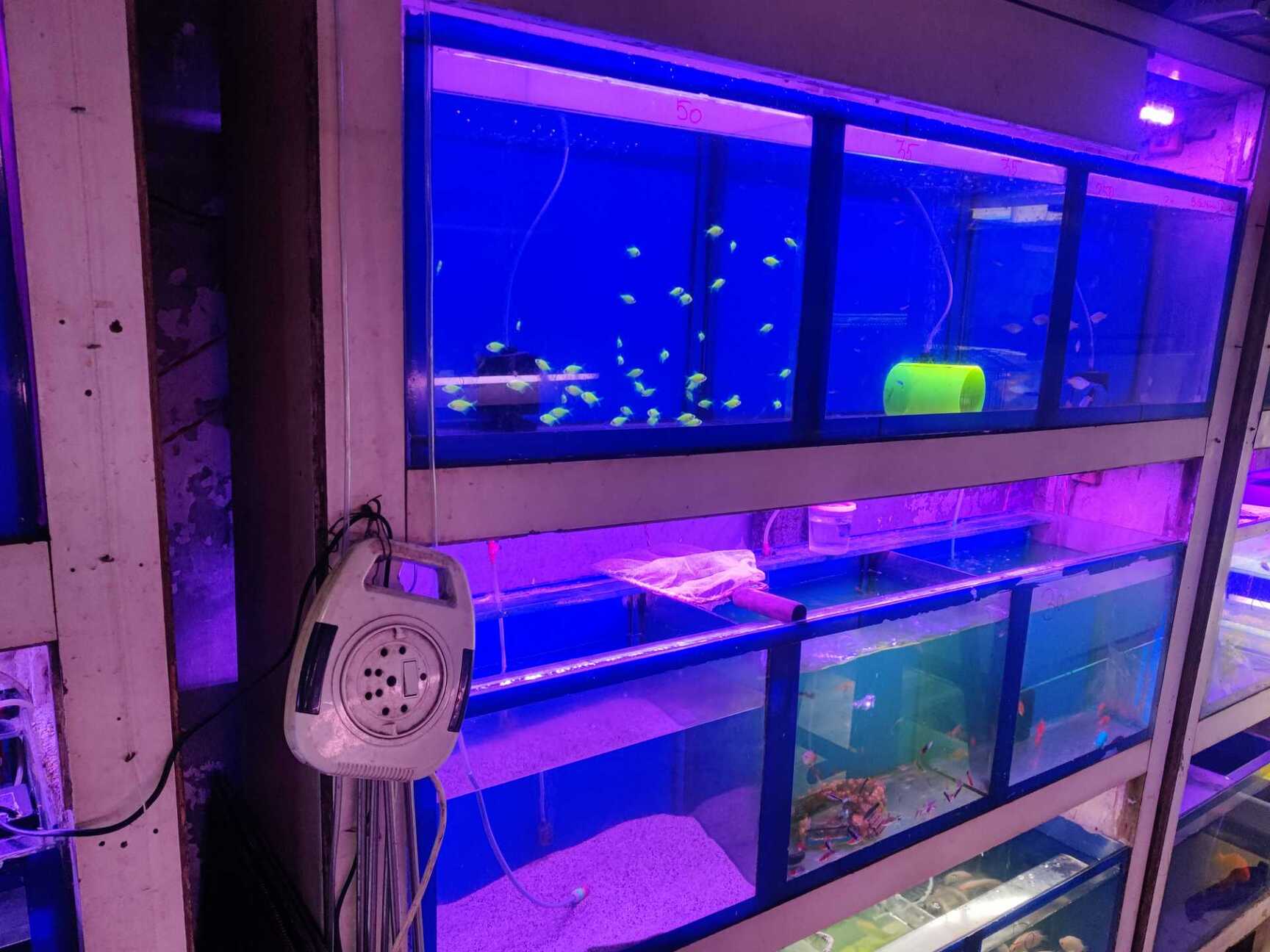 Modern Aquarium Photos, Thane West, Mumbai Pictures & Images Gallery