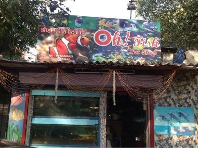 Aquantica Dombivli East Pet Shops For Birds In Thane Mumbai Justdial