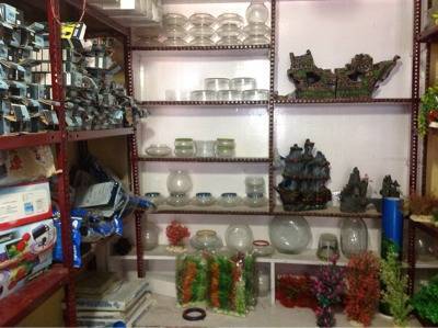 Aquantica Dombivli East Pet Shops For Birds In Thane Mumbai Justdial