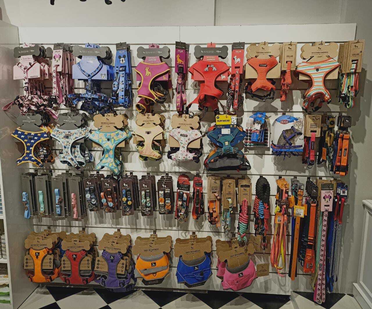 Find list of Heads Up For Tails in Daman near me Justdial