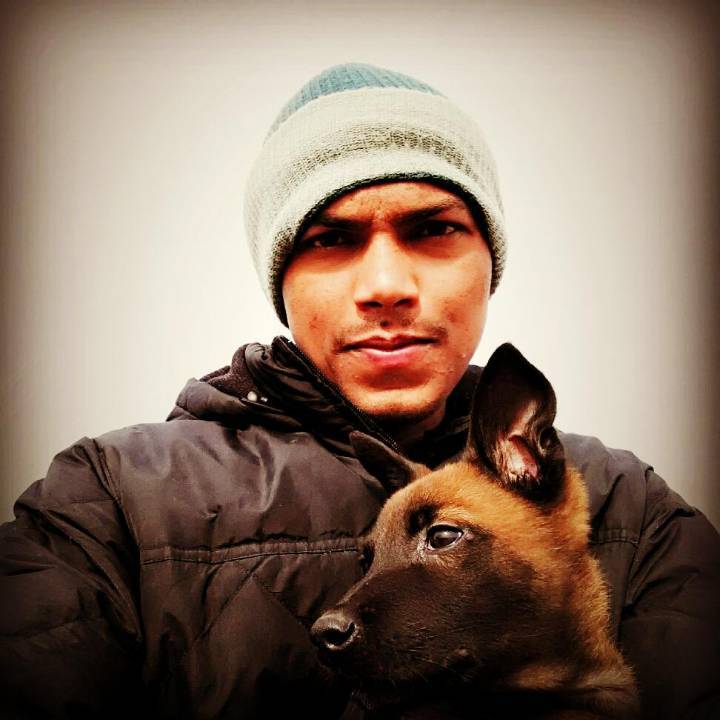 Top 30 Dog Adoption Centres in Thane West Best Dog Adoption Centers