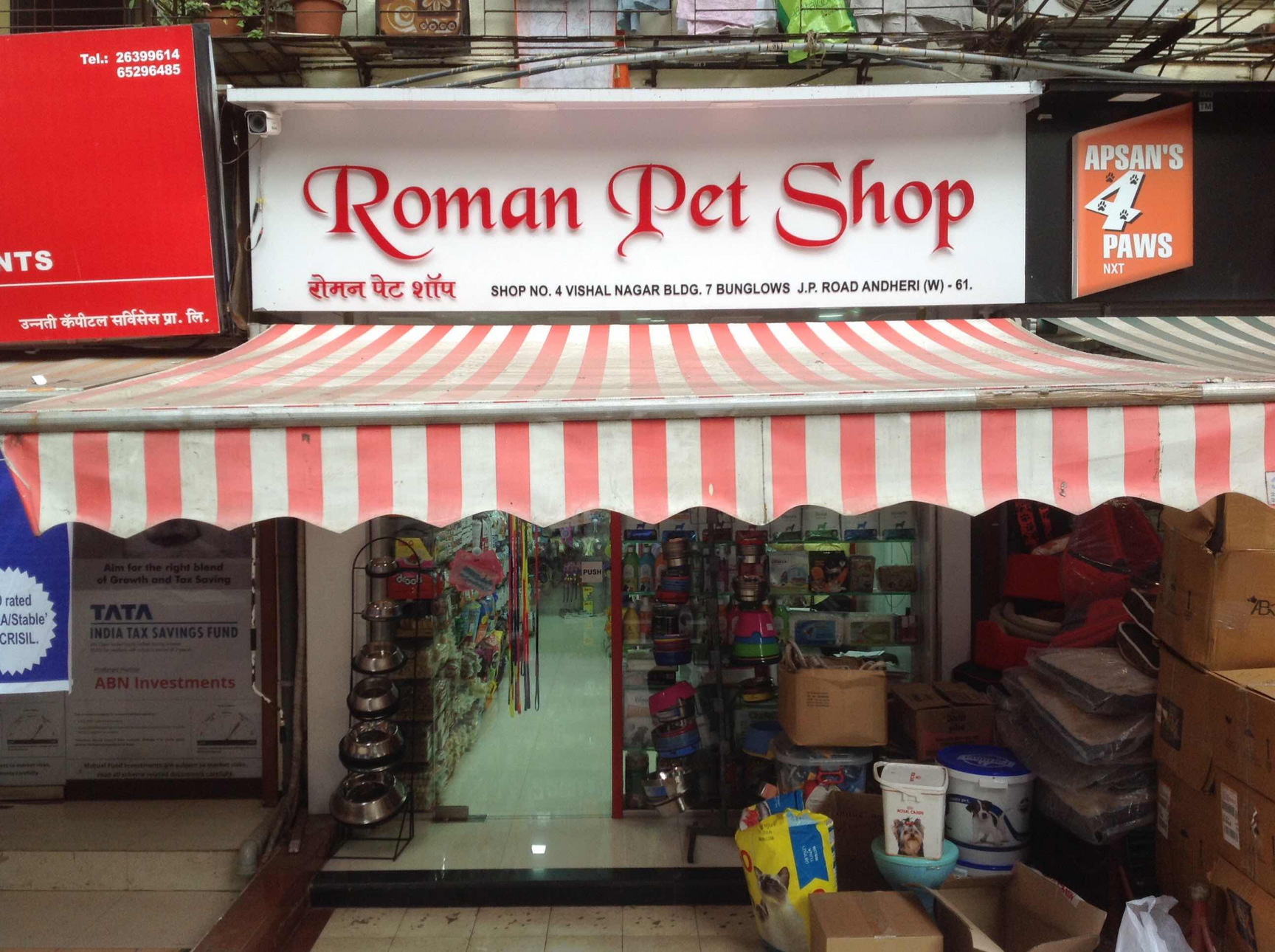 roman pet shop