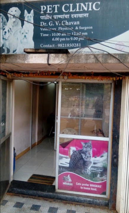 Dr Hitesh Swali S Animal Care Centre Andheri West Pet Care Takers In Mumbai Justdial