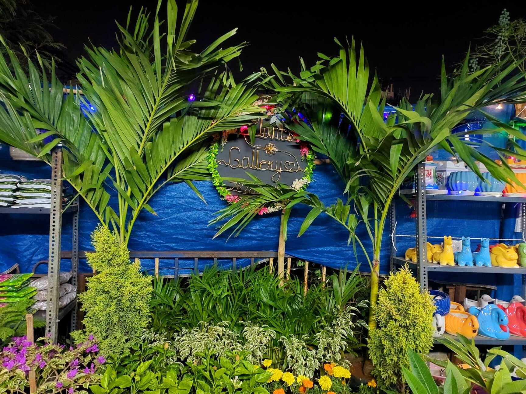 Catalogue Bigu Nurseries in Mumbai Justdial