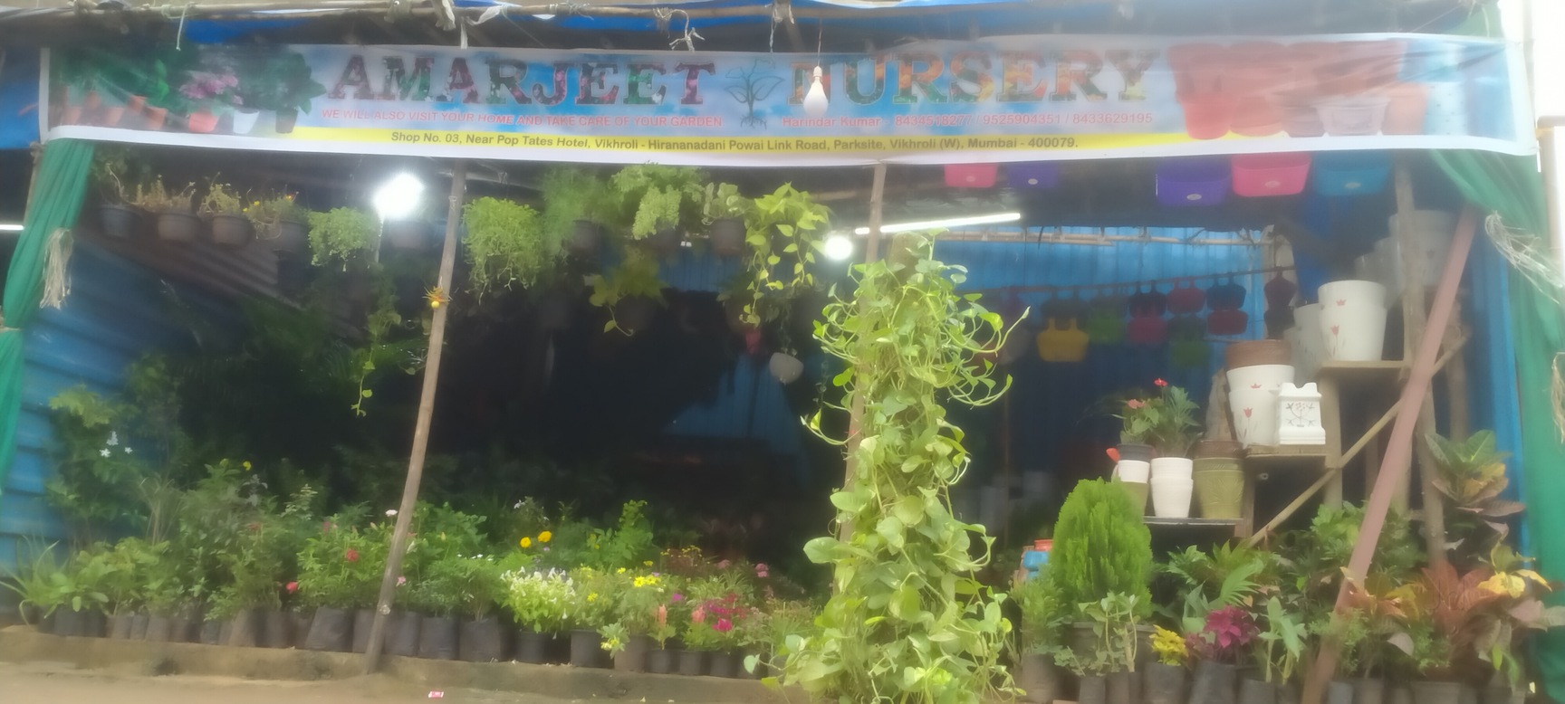 Catalogue Bigu Nurseries in Mumbai Justdial