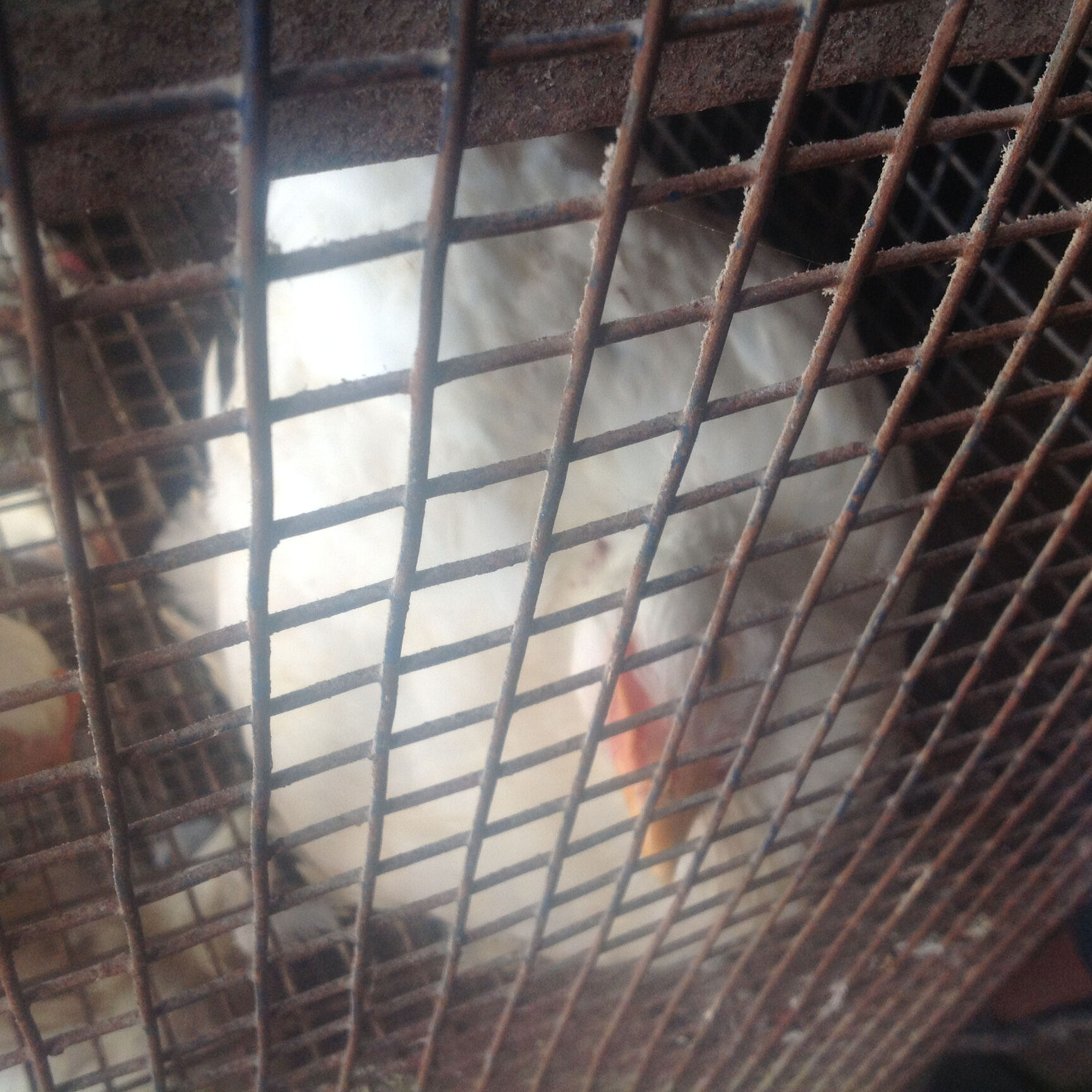 madh island air force station