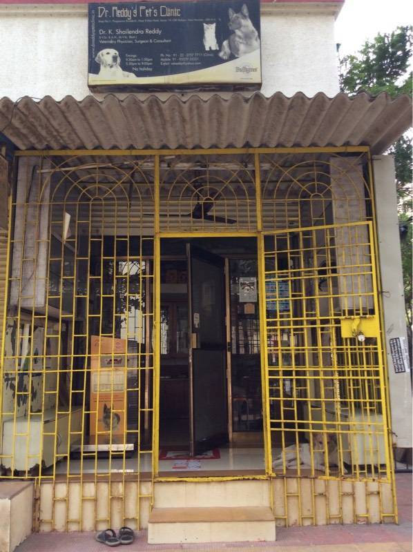 canidae fish dog food