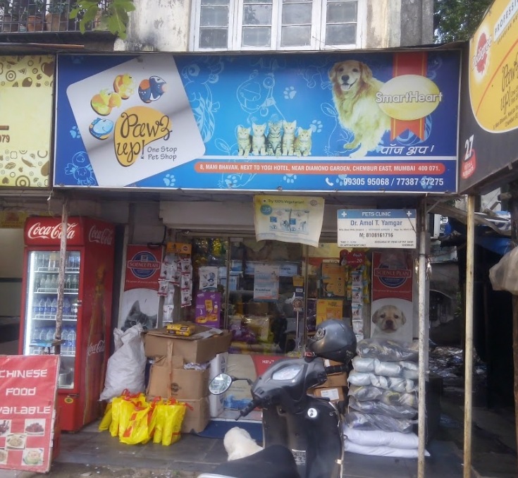 Top 30 Pet Shops For Rabbit in Chembur East Best Pet Stores For