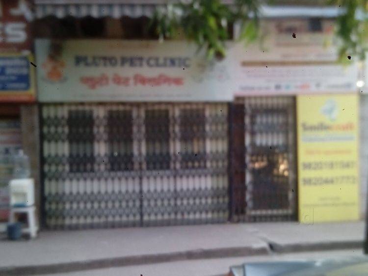 Dr Hitesh Swali S Animal Care Centre Andheri West Pet Care Takers In Mumbai Justdial