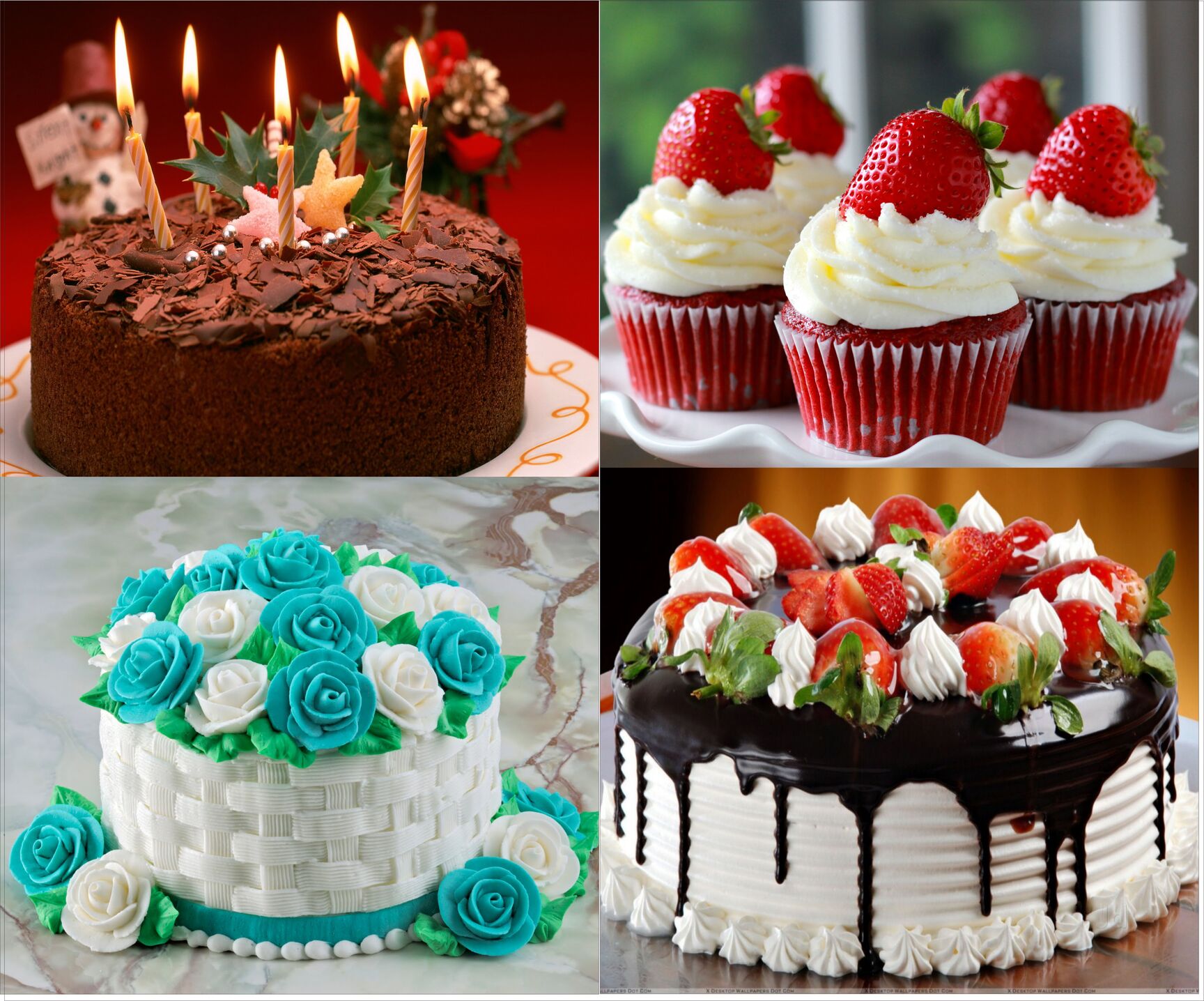 top 100 cake shops