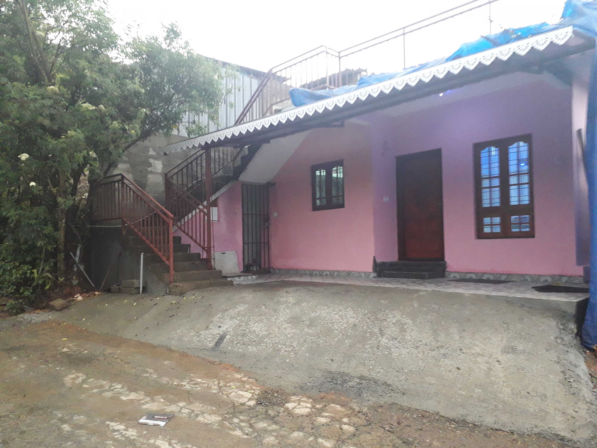 Horeb Cottage Munnar Idukki Cottages On Hire In Munnar Justdial