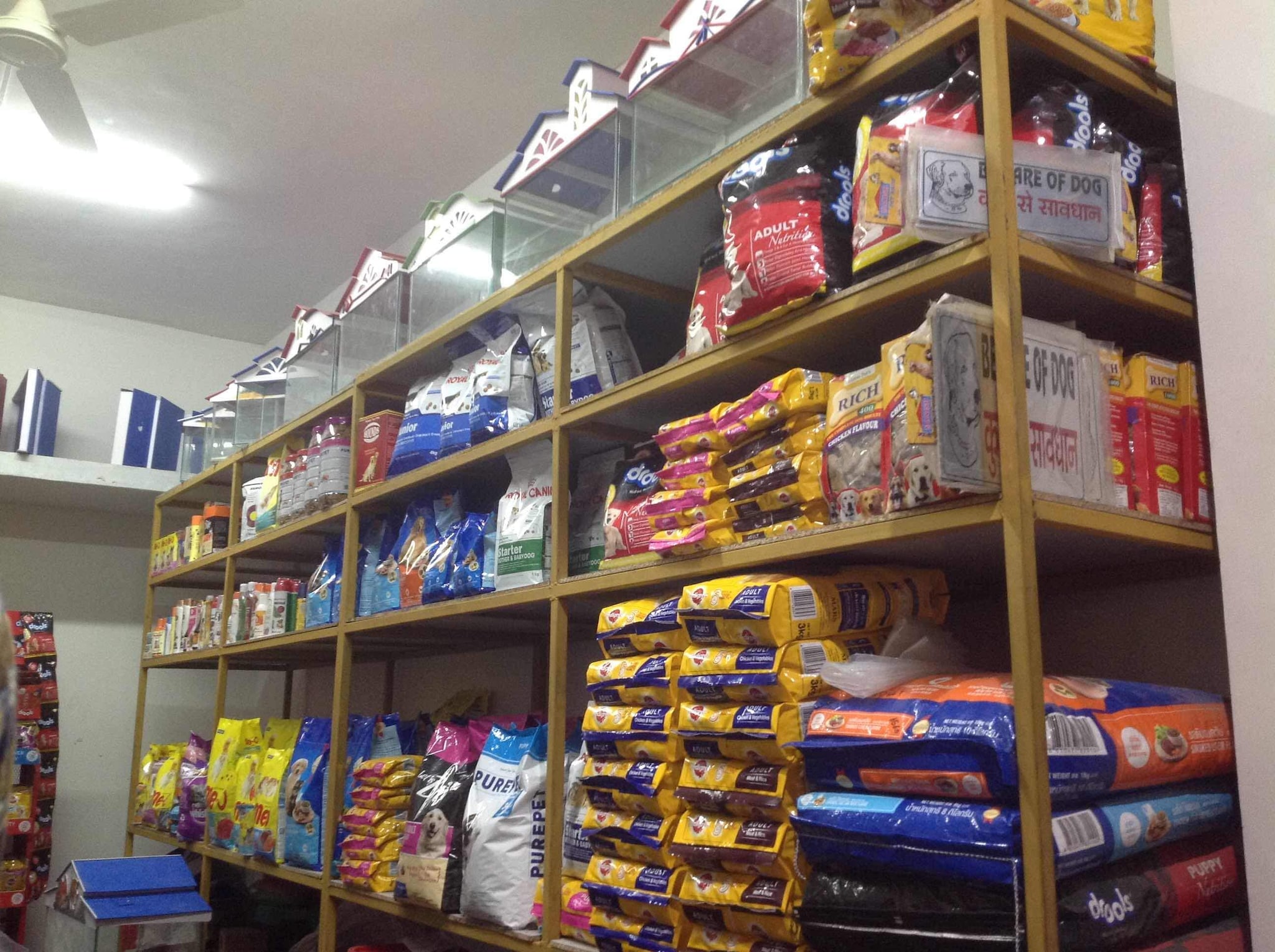 Moti Nagar Dog Shop Nearest Pet Shop Best Sale