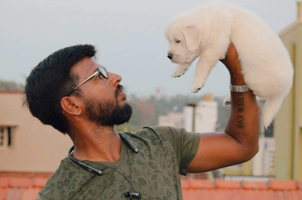 Top 30 Pet Shops For Labrador Dog in Mysore Best Labrador Dog Dealers