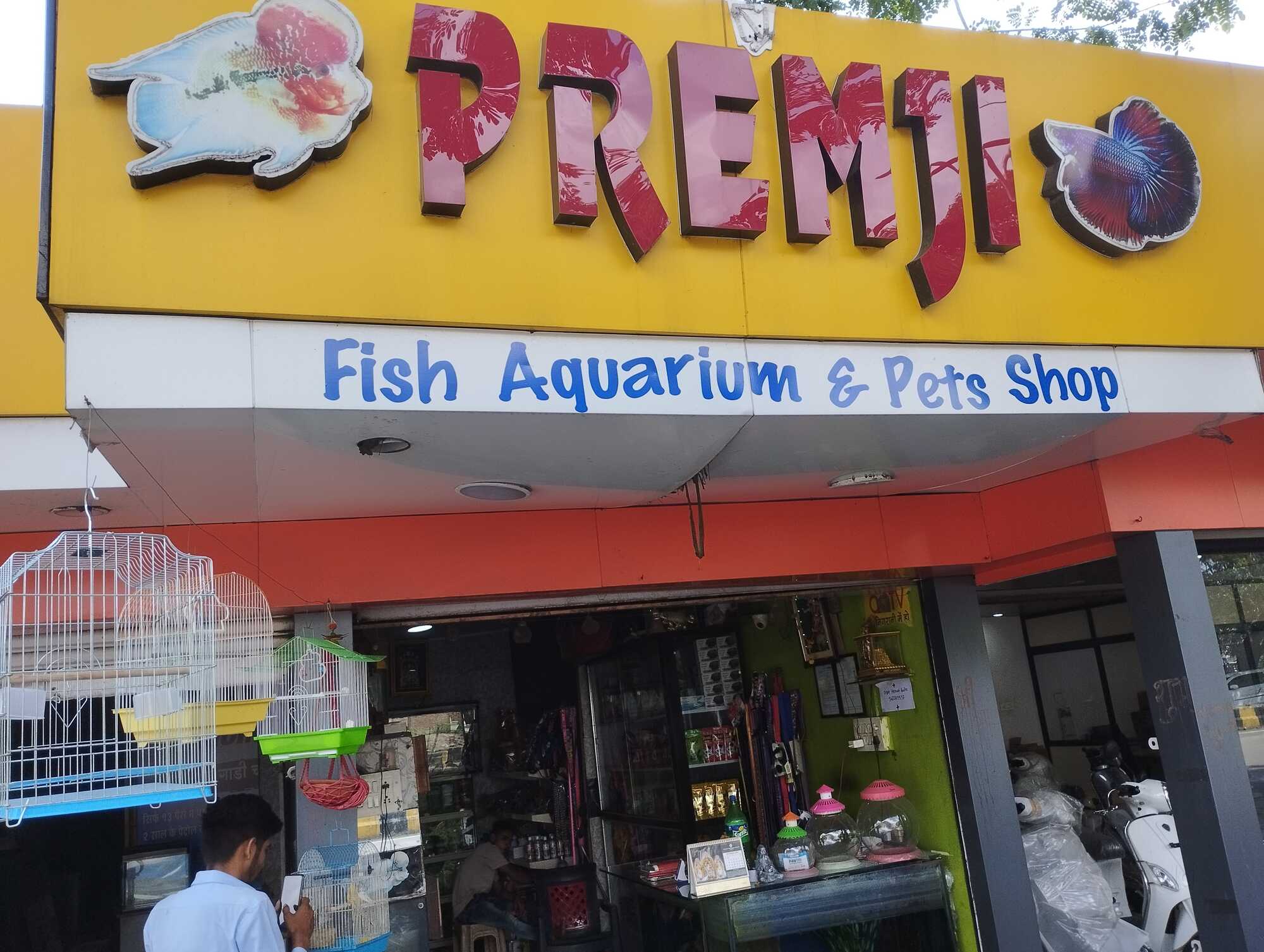 Pet Cage in Bhopal Durable and Spacious Pet Crates Justdial