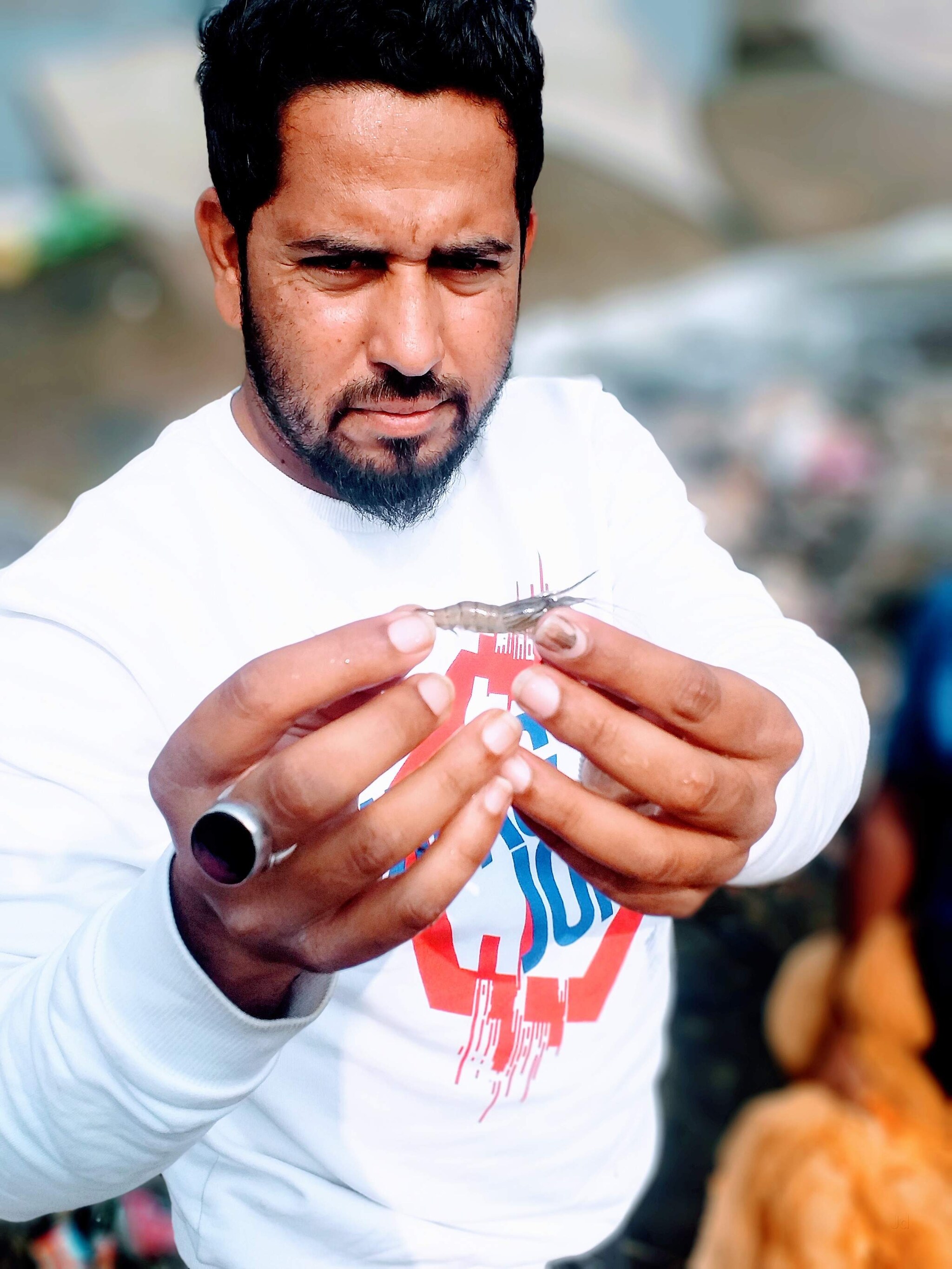 Top Fish Home Delivery in Nashik Road, Nashik Best Seafood Delivery