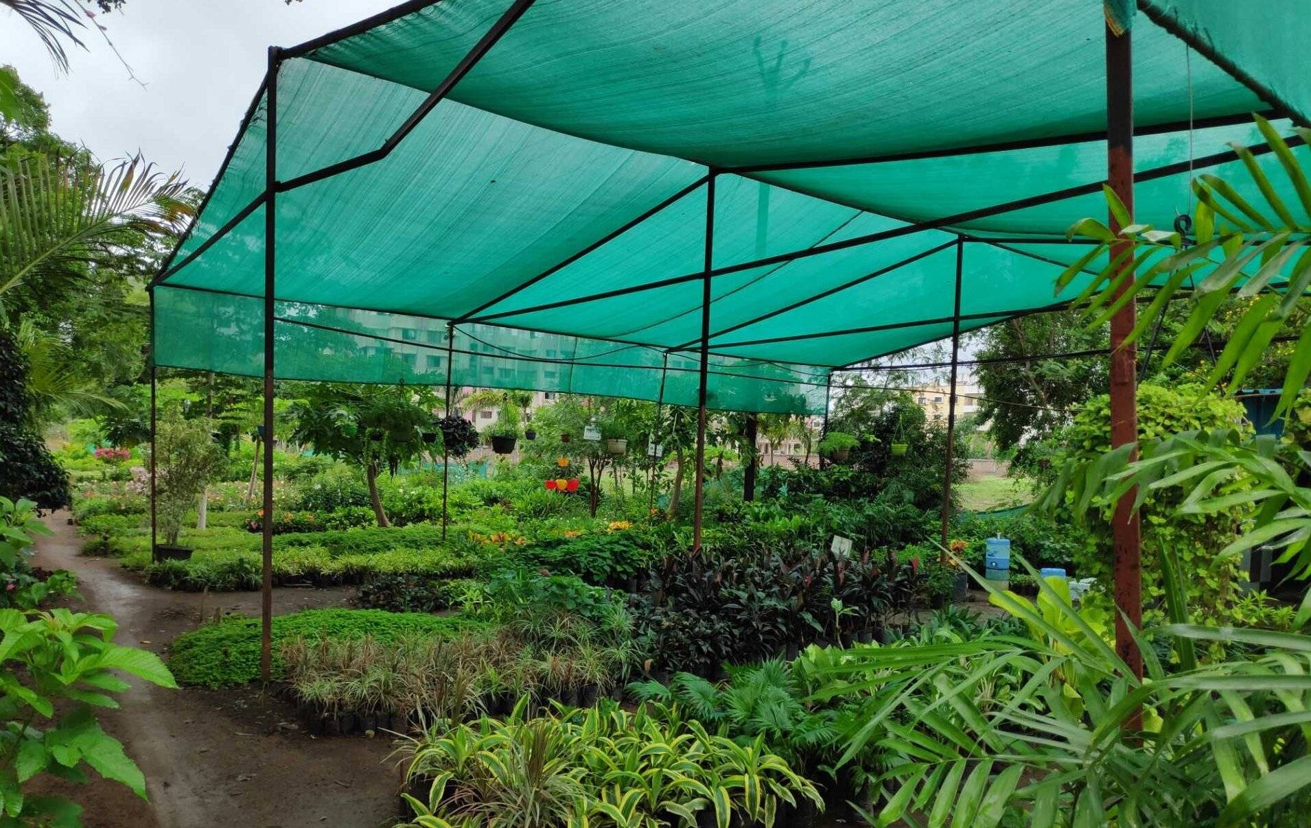 Top 100 Plant Nurseries in Nashik Best Nursery Plant Suppliers Justdial