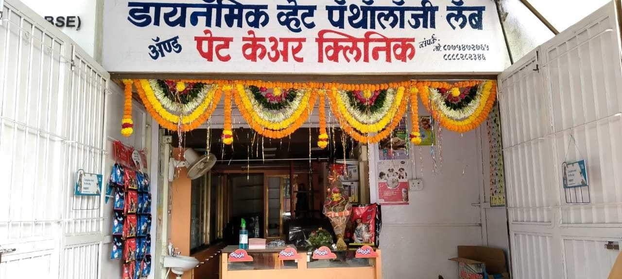 Top 24 Hours Pet Clinics in Nashik Best 24 Hrs Dog Clinics Justdial