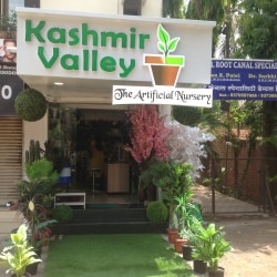 Kashmir Valley -the Artificial Nursery in Gangapur Road,Nashik ...