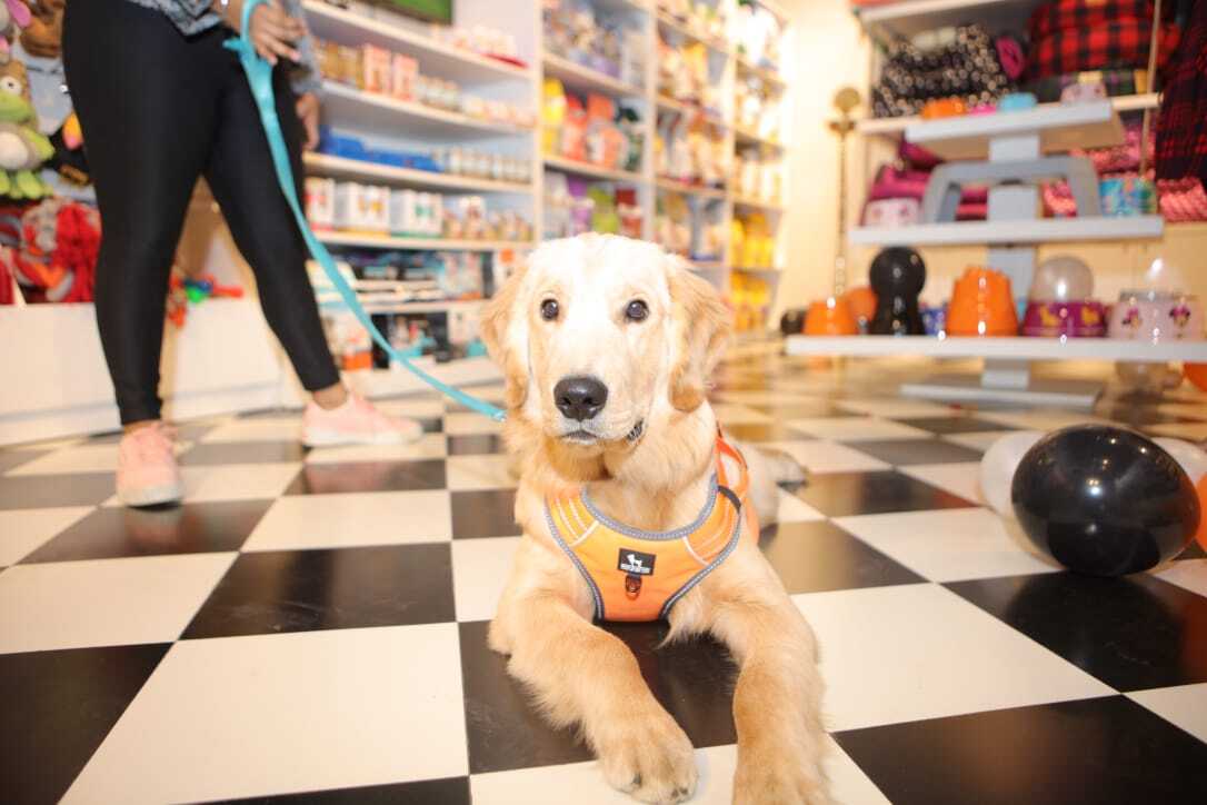 Find list of Heads Up For Tails in Medak near me Justdial