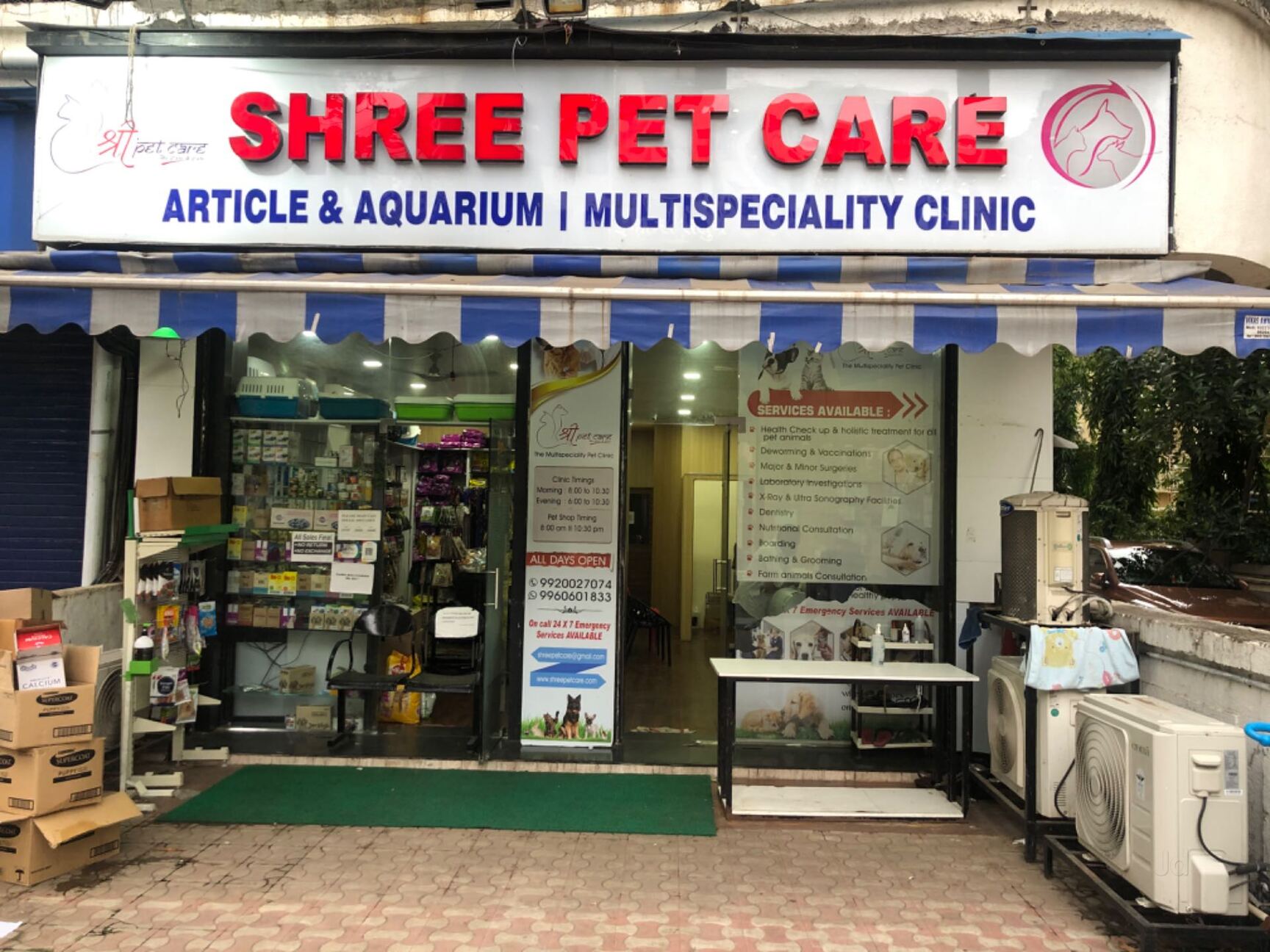 Top 20 Pet Shops For Cat in Nerul Best Pet Shops For Kitten Mumbai