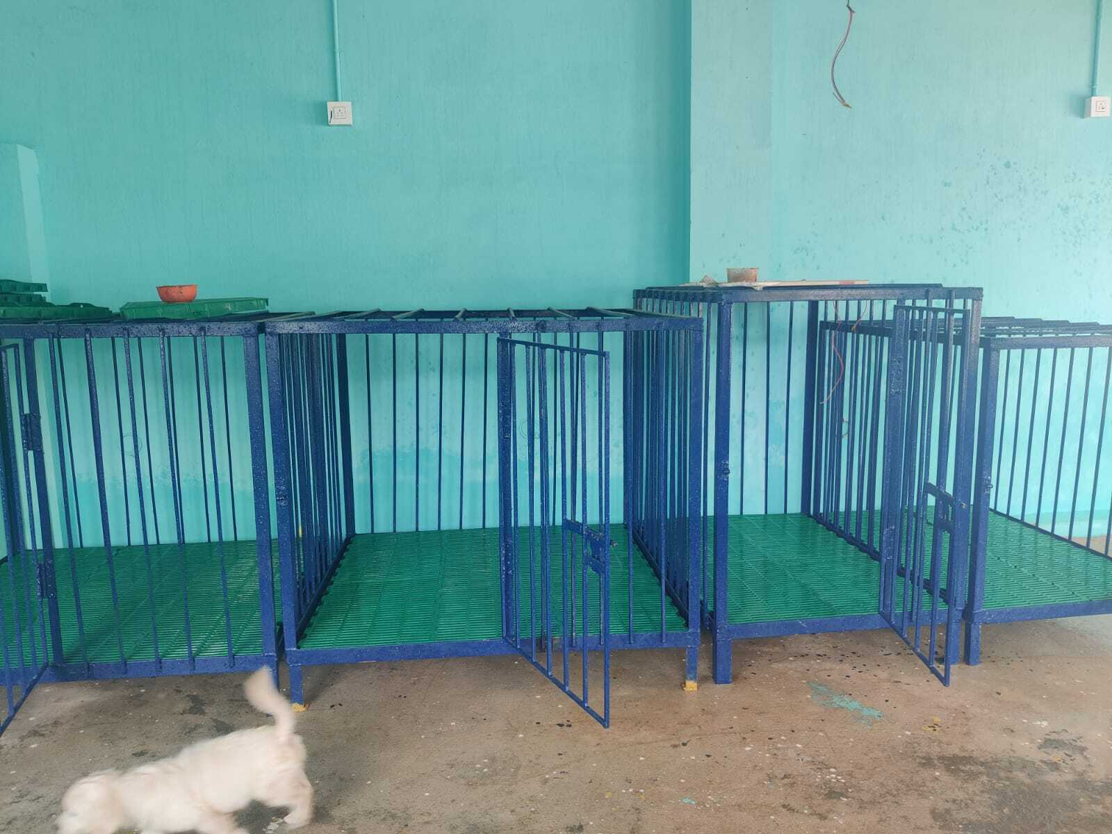 Top Dog Cafes in Nandanam, Chennai near me Justdial