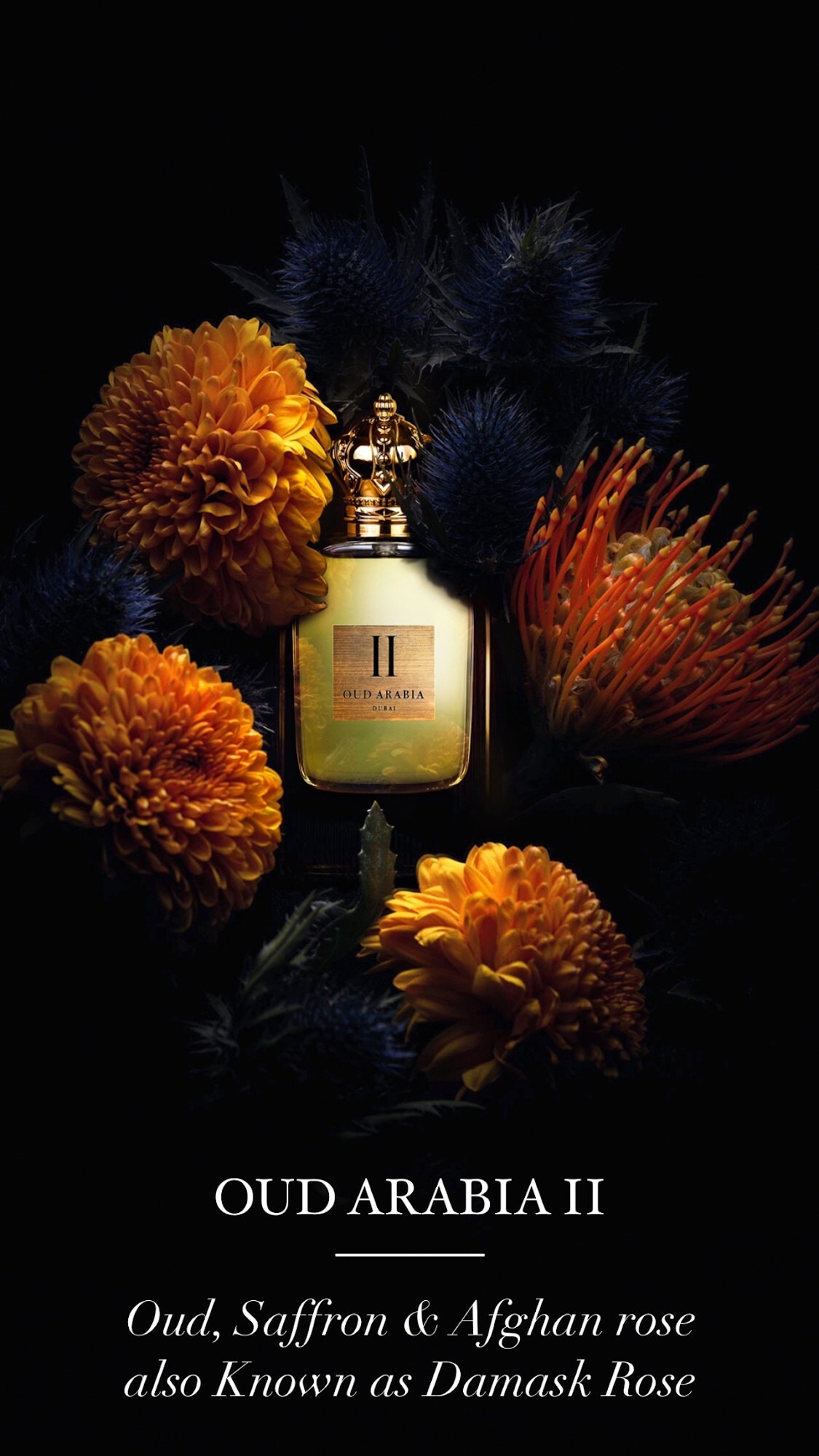 Kashmir Airs Perfume Oil Signature Home Essence In Delhi Dealers