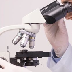 Lab view 7