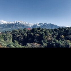 Lab view 7
