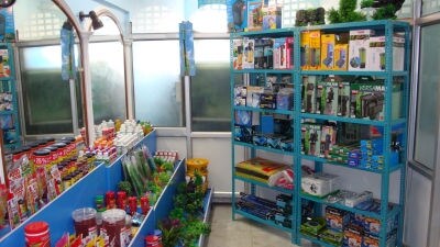 fish bowl shop near me