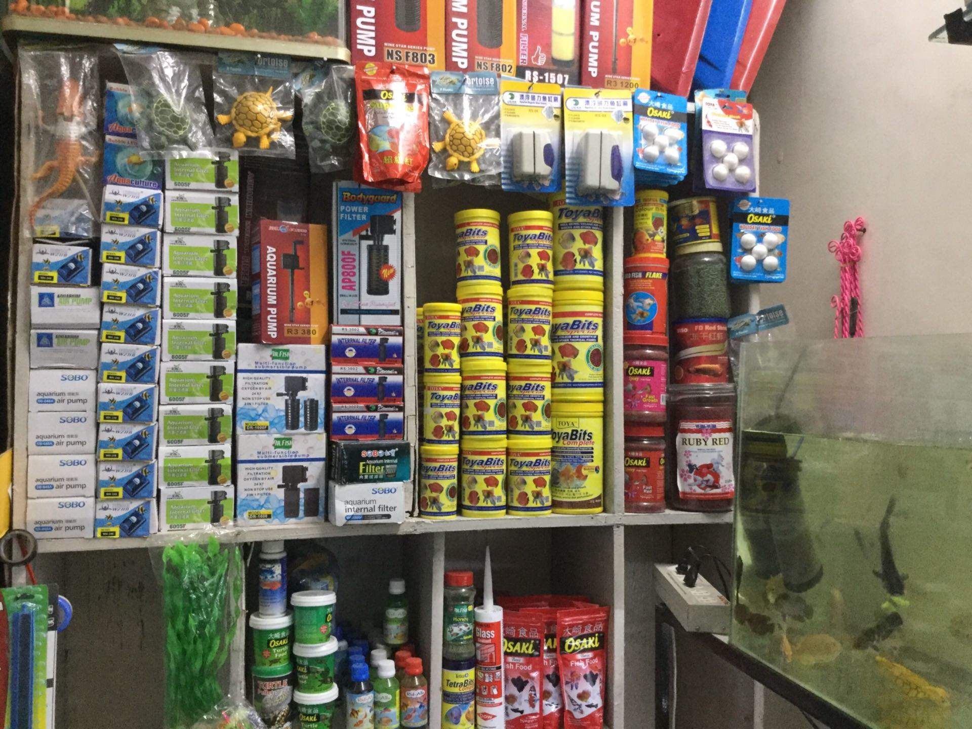 fish bowl shop near me