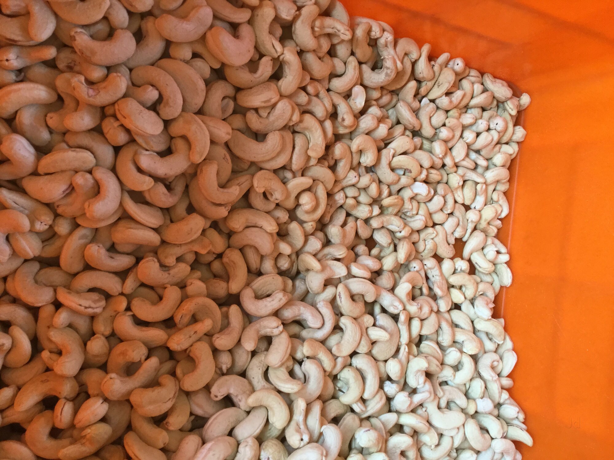 Catalogue Skr Cashews in Thiruvathigai , Panruti Justdial