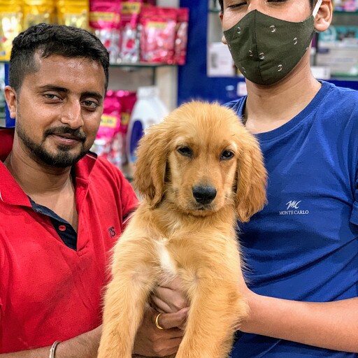 Top 10 Pet Shops For Rabbit in Patna Best Pet Stores For Rabbit Justdial