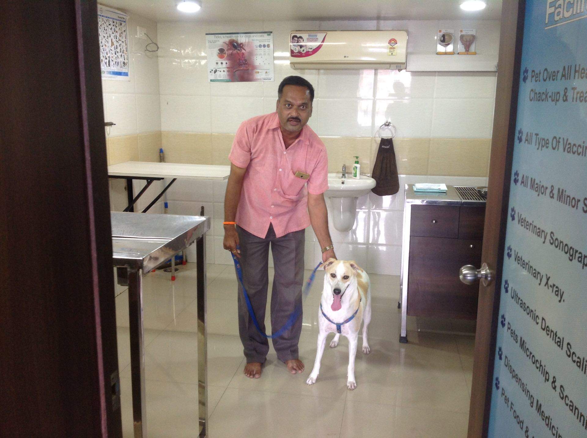 liger world's biggest cat