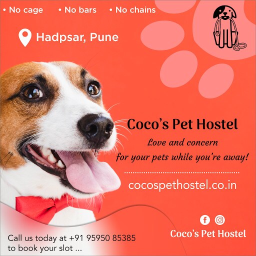 Cocos Pet Hostel Photos, Hadapsar, pune Pictures & Images Gallery