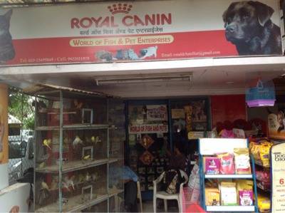 the world of fish and pets