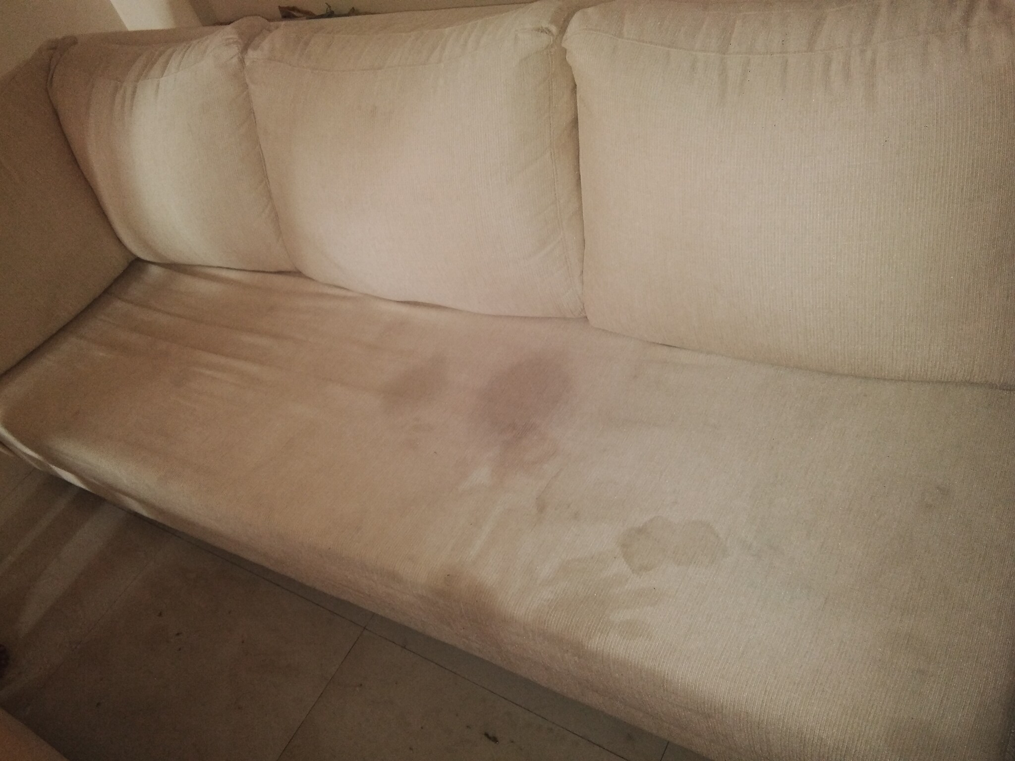 Sofa Cleaning Pune Kothrud Baci Living Room