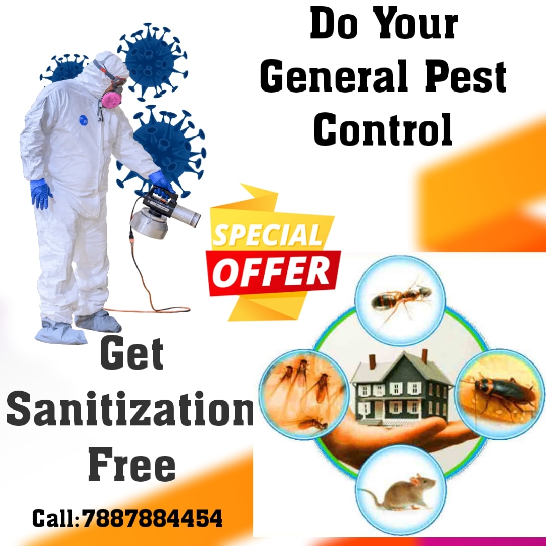Top 100 Rodent Control Services in Pune Best Pest Control Services