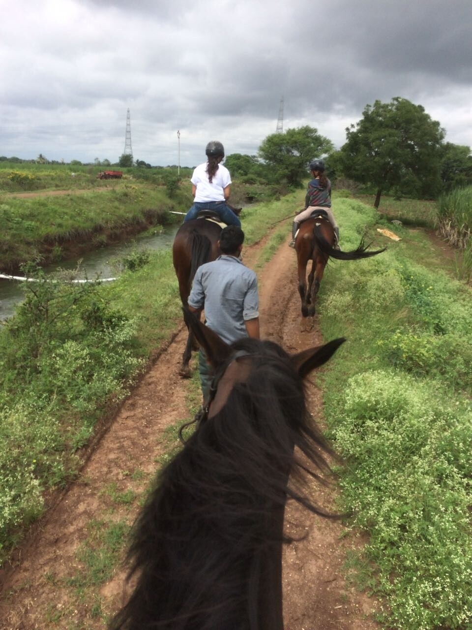 Manjari Stud Farm Pvt Ltd Manjari Farm Horse Riding Clubs In Pune Justdial