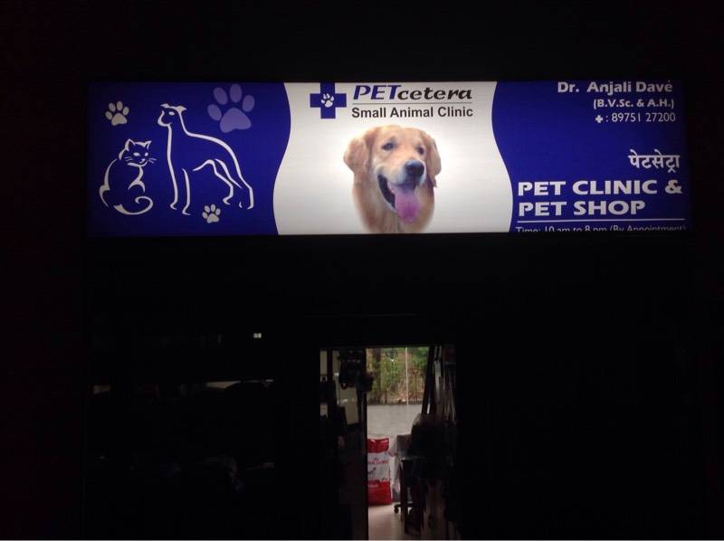 Petcetera Small Animal Clinic Veterinary Clinics Book Appointment Online Veterinary Clinics In Nibm Kondhwa Khurd Pune Justdial