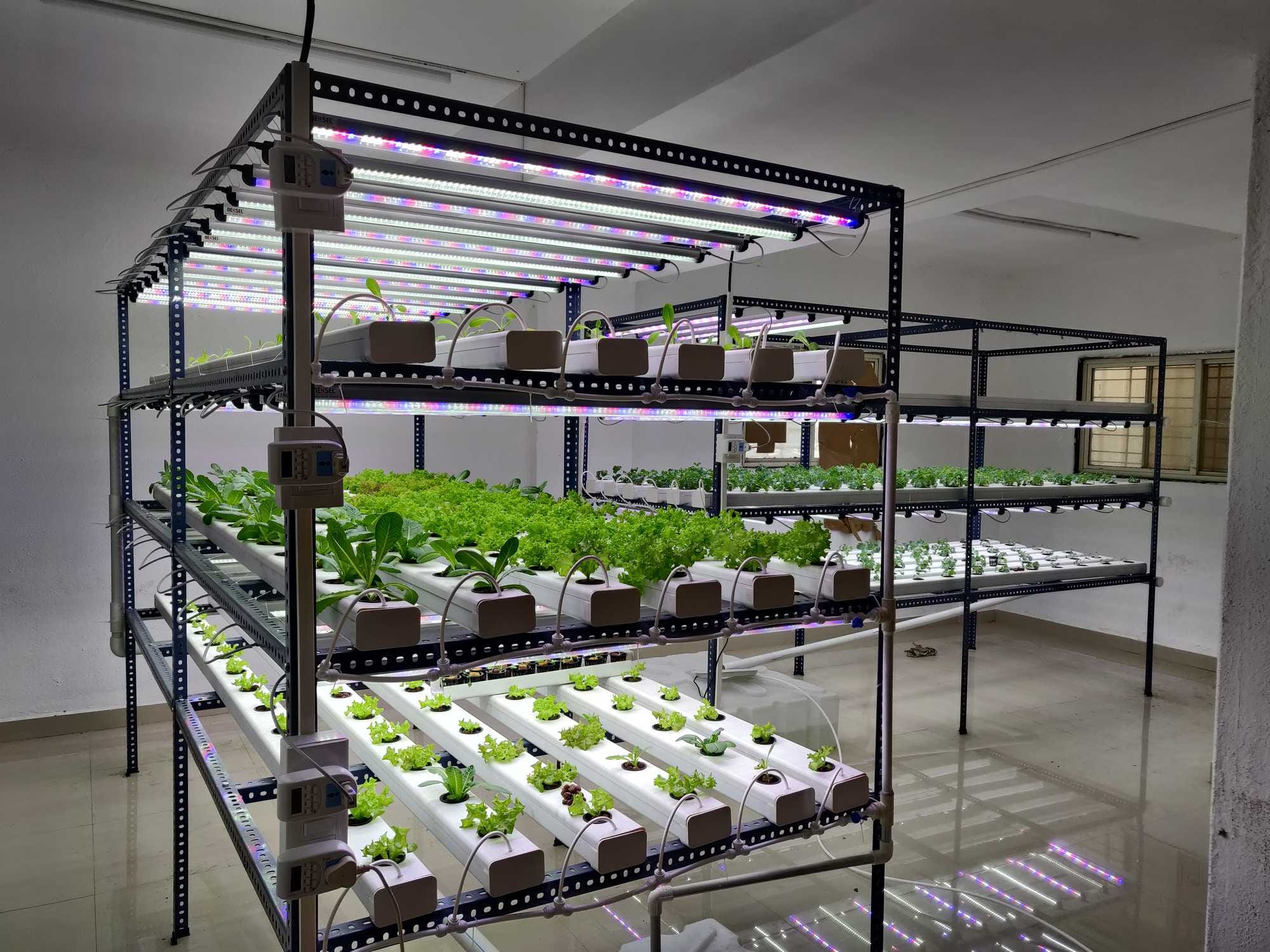 Agro & Specialty Chemical Facility at Dahej-III