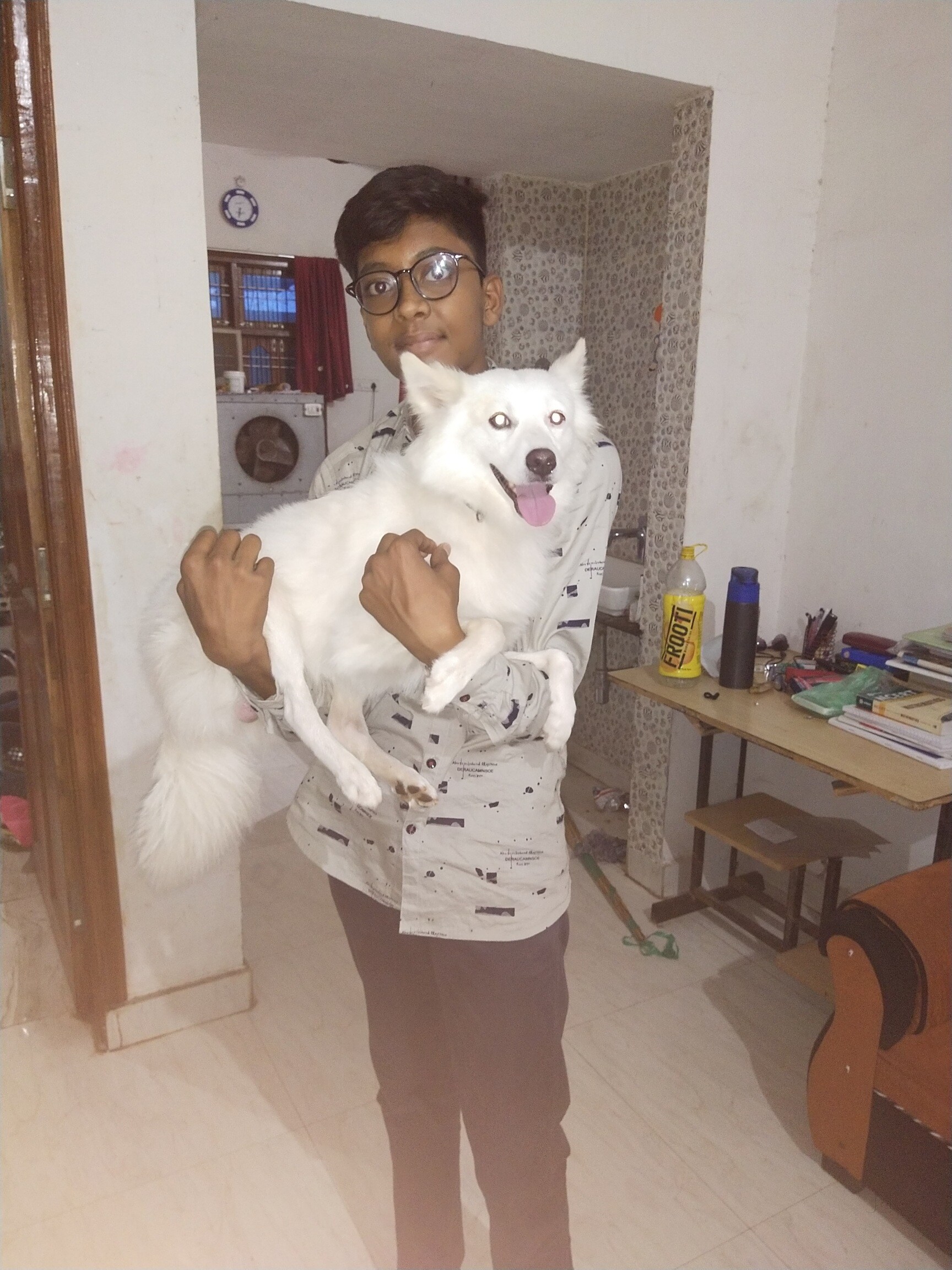 Top Pet Shops in Dhamtari Best Pet Store near me Justdial