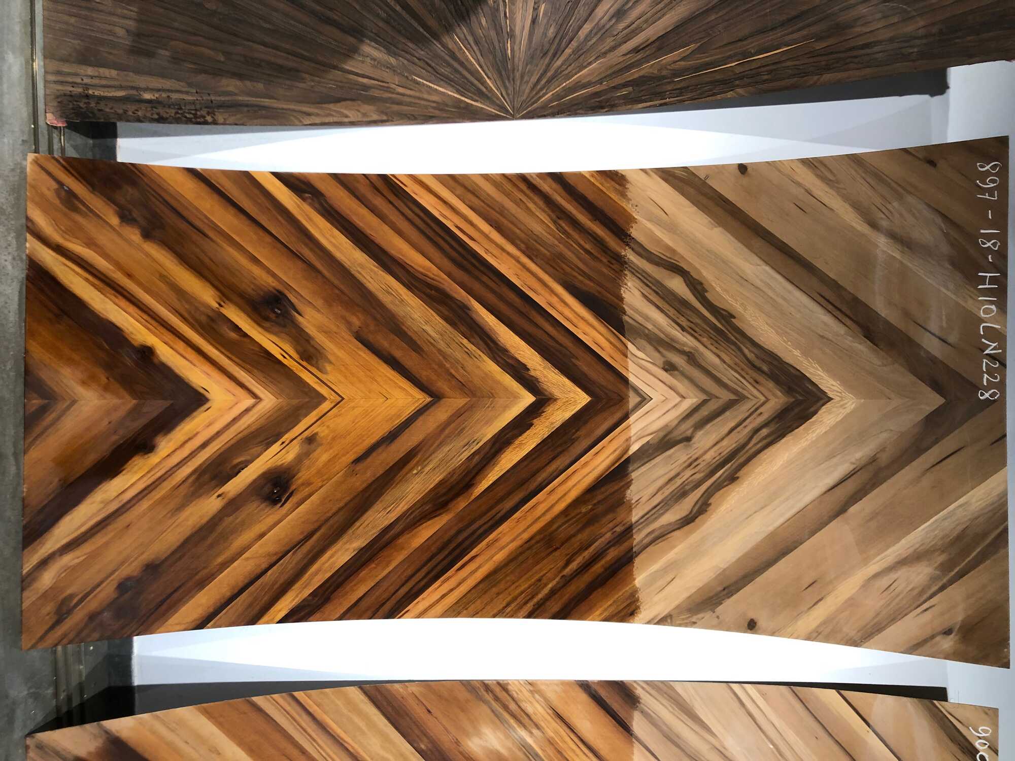 Catalogue Samriddhi Plywood And Hardware in Katora Talab , Raipur