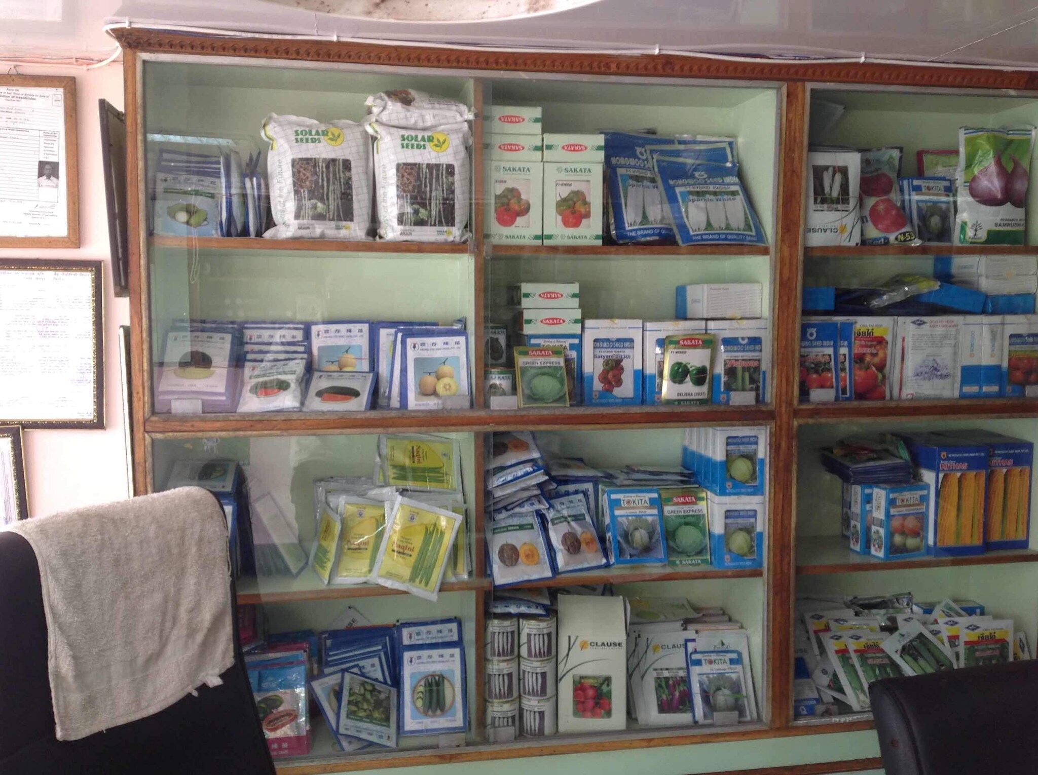 Catalogue Raj Nursery in Raipur Ho , Raipur Chhattisgarh Justdial