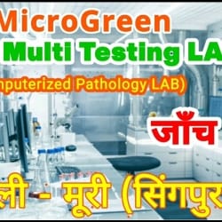 Lab view 13