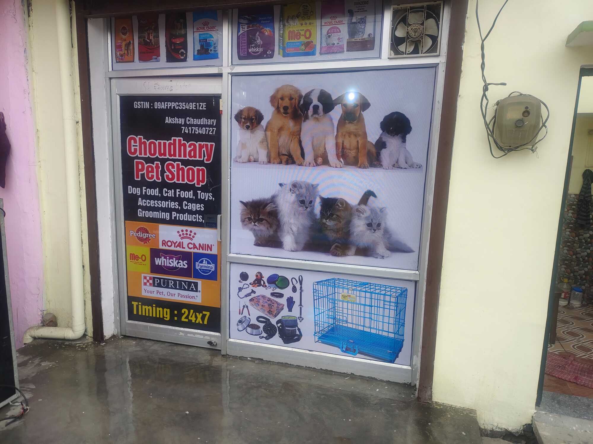 Dog Collar Stylish, Durable Comfortable Justdial Verified